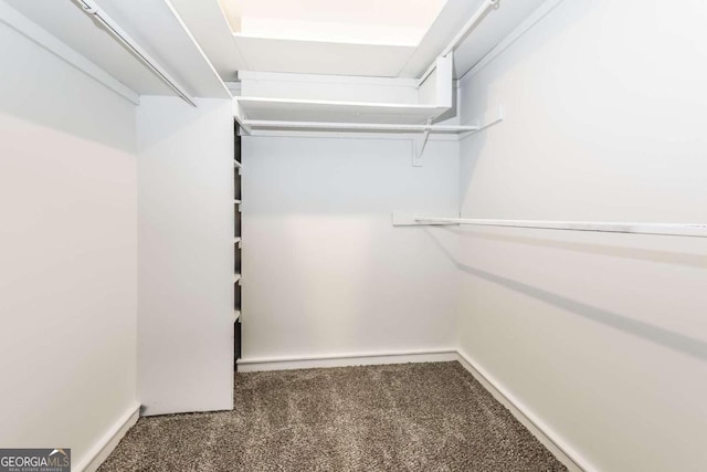 spacious closet featuring carpet floors