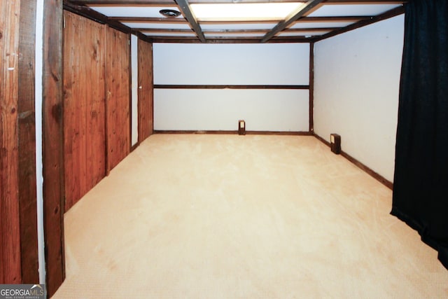 basement with light carpet