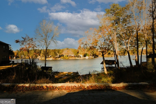 property view of water