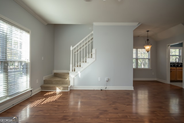 interior space featuring lofted ceiling, dark hardwood / wood-style floors, ornamental molding, and sink