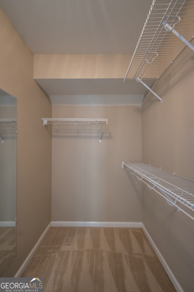 spacious closet featuring carpet flooring