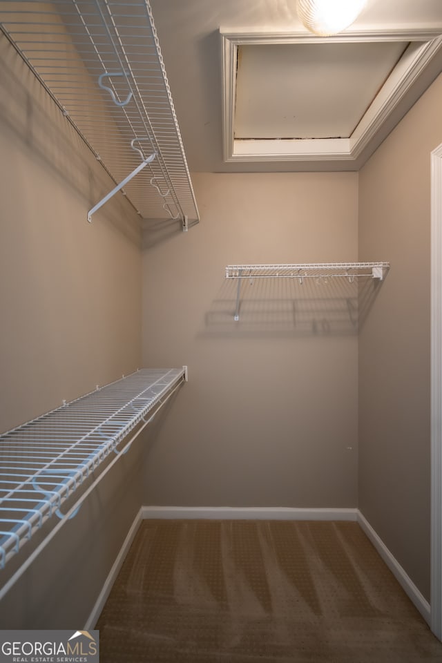 walk in closet featuring carpet floors