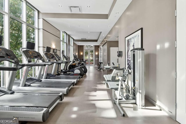 workout area featuring plenty of natural light, a raised ceiling, and a wall of windows