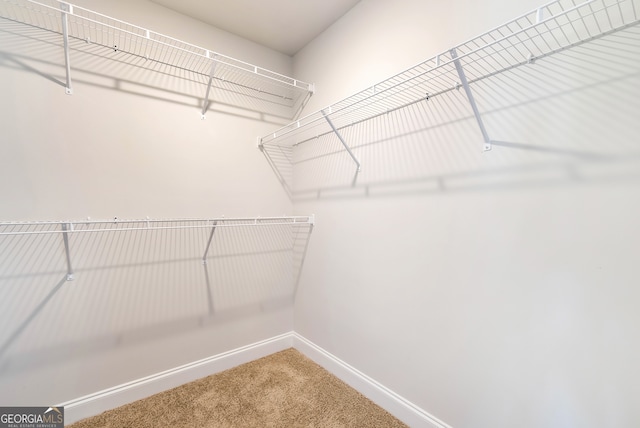 walk in closet with carpet floors