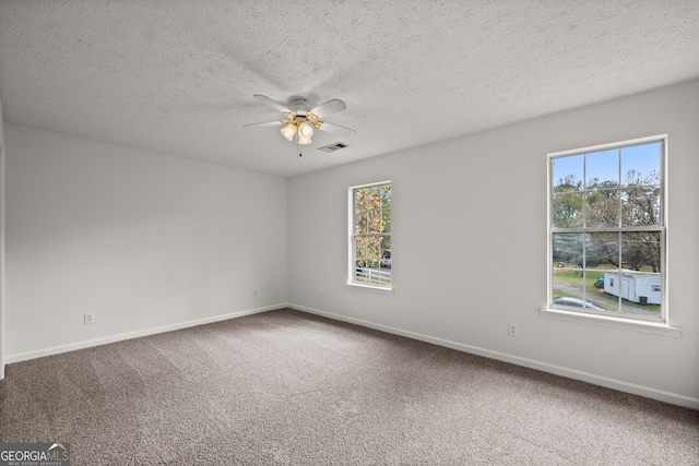 carpeted spare room featuring plenty of natural light and a textured ceiling