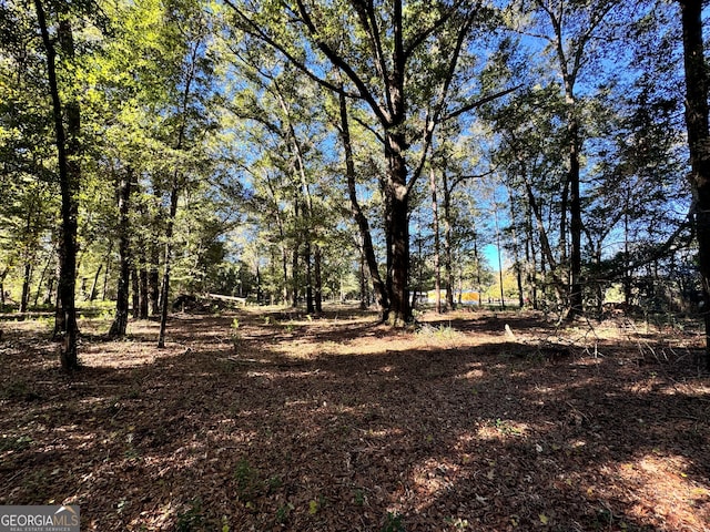 view of local wilderness