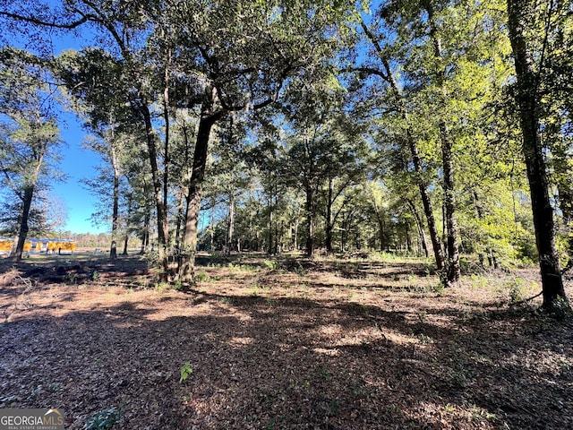 view of local wilderness