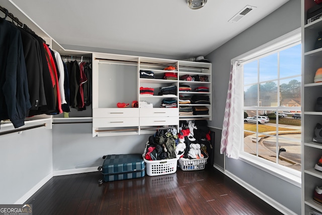 spacious closet with wood-type flooring