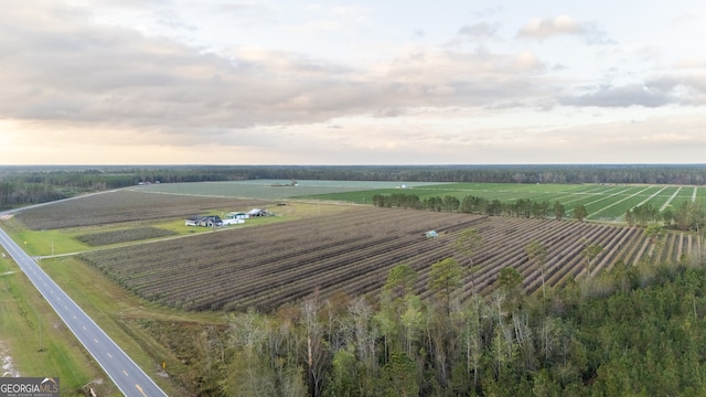 birds eye view of property with a rural view