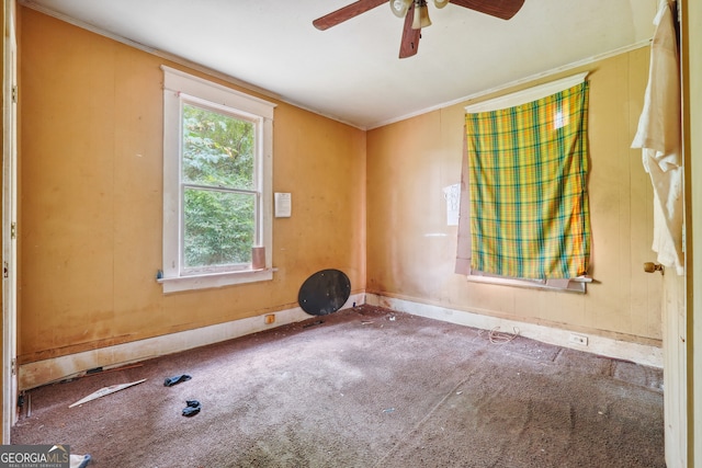 empty room with carpet floors, ceiling fan, and crown molding