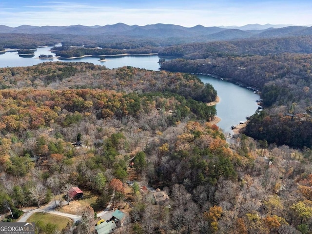 bird's eye view with a water and mountain view