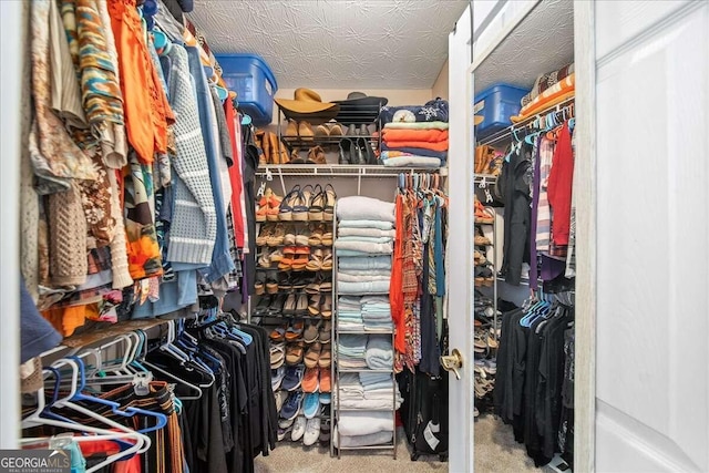 walk in closet featuring carpet