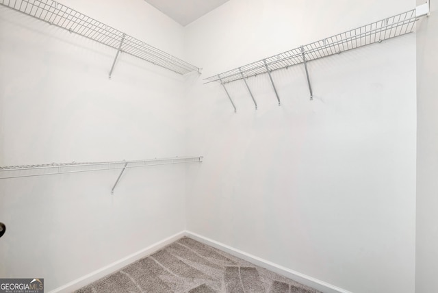 walk in closet with carpet