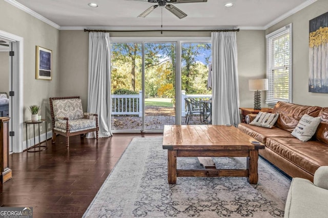 living room with ornamental molding, ceiling fan, and dark wood-type flooring