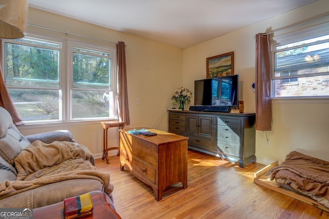 living room featuring plenty of natural light and light wood-type flooring