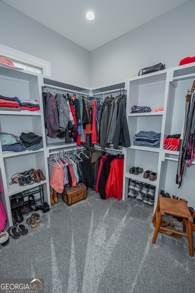 walk in closet with carpet flooring