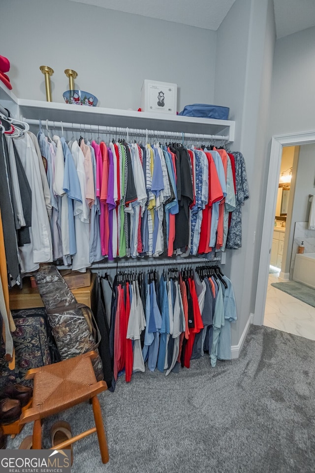 spacious closet featuring carpet flooring