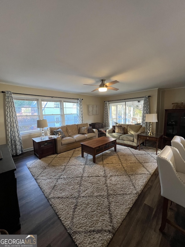 living room featuring ceiling fan and dark hardwood / wood-style flooring