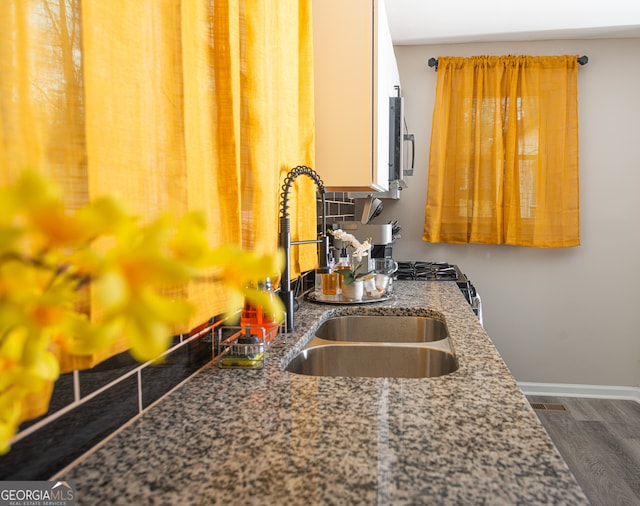 kitchen with dark hardwood / wood-style flooring and sink