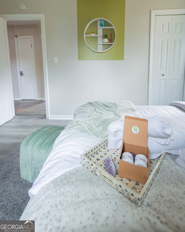 bedroom with a closet and hardwood / wood-style floors