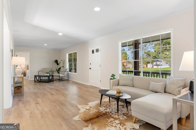 living room with light hardwood / wood-style floors