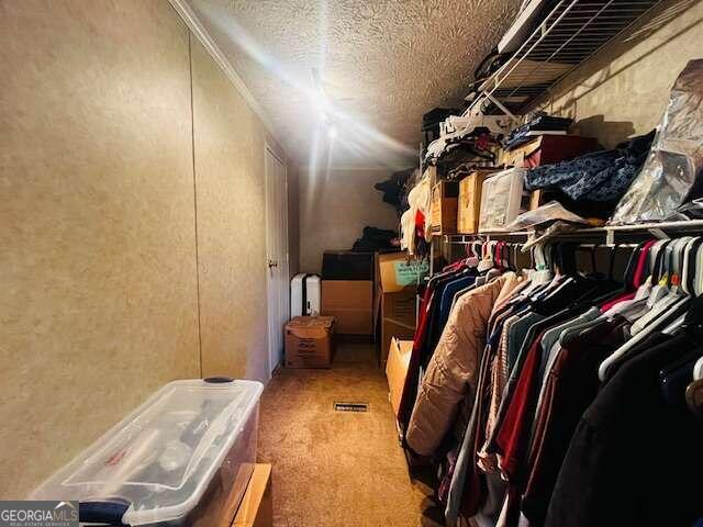 walk in closet with light colored carpet