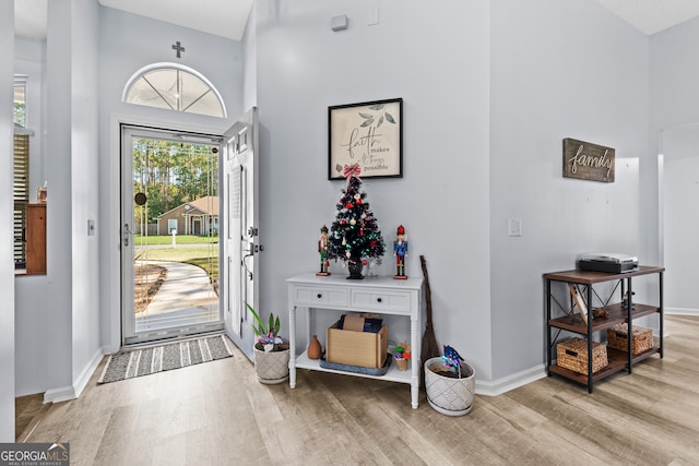 foyer featuring a towering ceiling and light hardwood / wood-style flooring