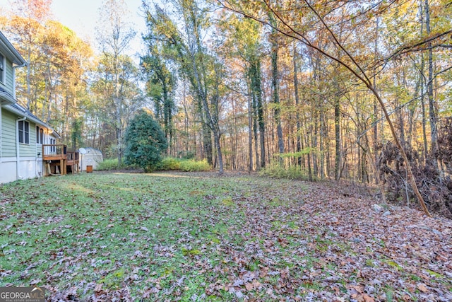 view of yard featuring a storage shed