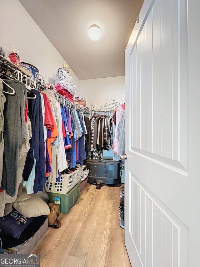 spacious closet featuring wood-type flooring