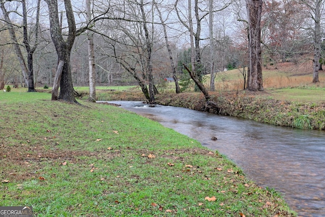 view of yard featuring aphalt driveway and a forest view