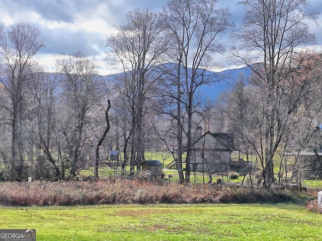 view of yard with a mountain view