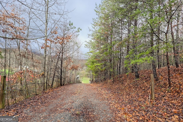 view of street featuring a forest view