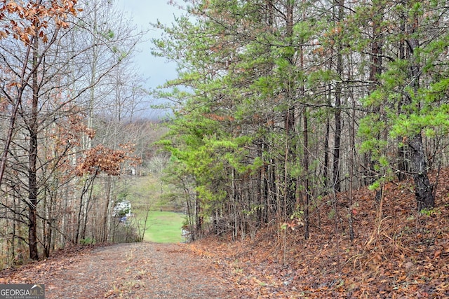 view of nature with a wooded view