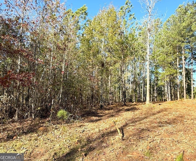 LOT34 Russell Ridge Ct, Elberton GA, 30635 land for sale