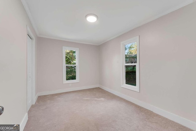 carpeted empty room featuring plenty of natural light and ornamental molding