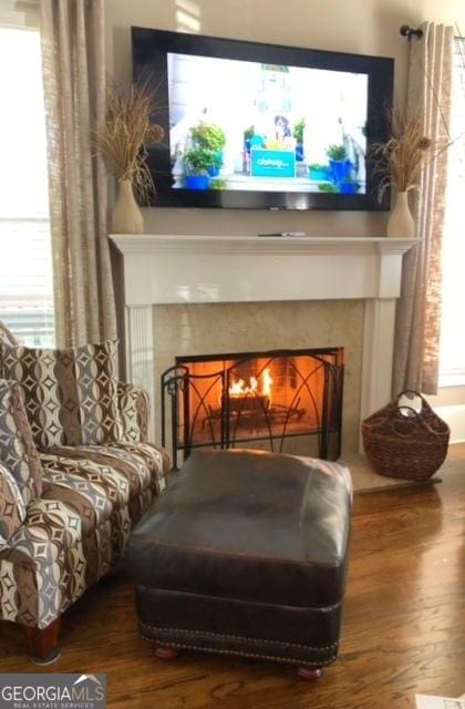 living area with a fireplace and wood-type flooring