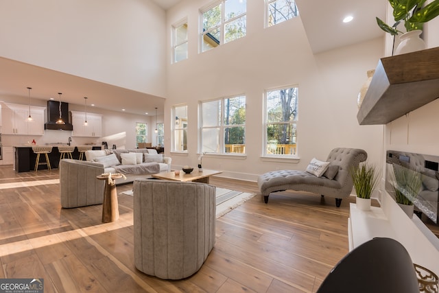 living room featuring a high ceiling and light hardwood / wood-style flooring