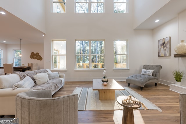 living room with a high ceiling and hardwood / wood-style flooring