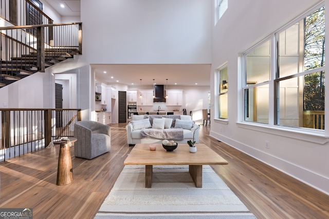 living room featuring wood-type flooring and a high ceiling