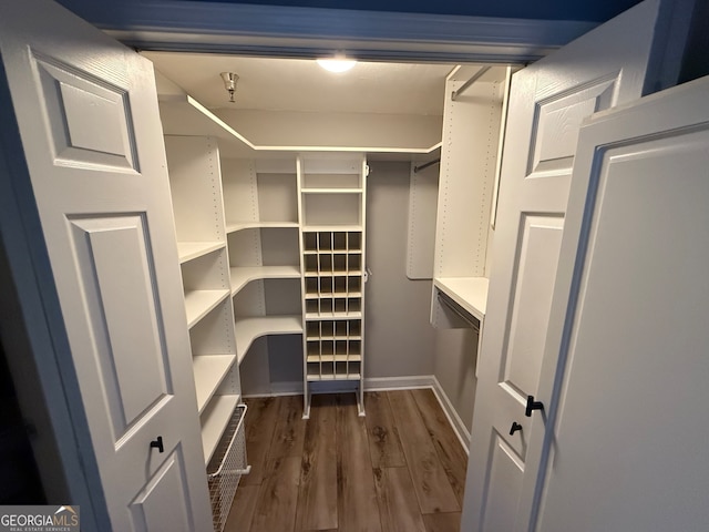 spacious closet with dark hardwood / wood-style floors