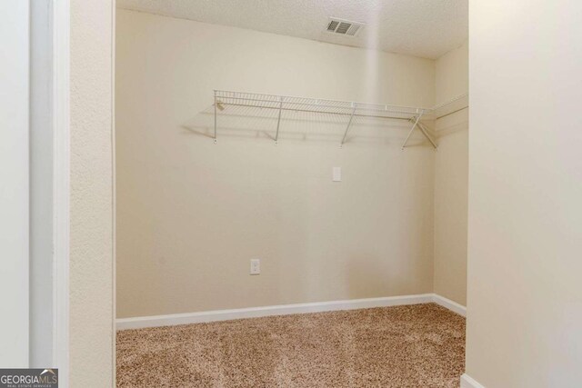 spacious closet featuring carpet floors