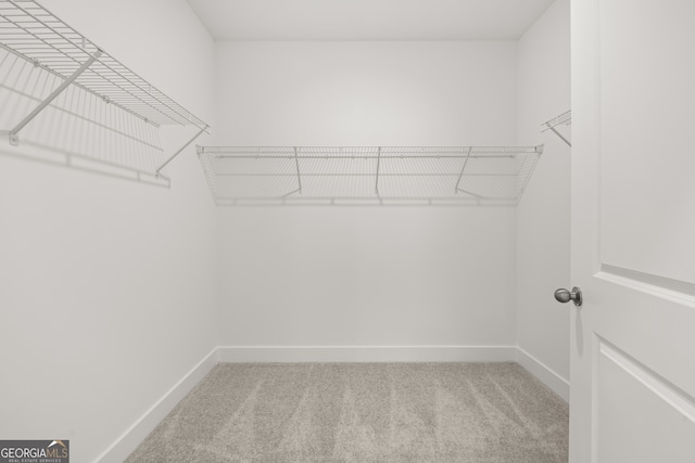 spacious closet with light colored carpet