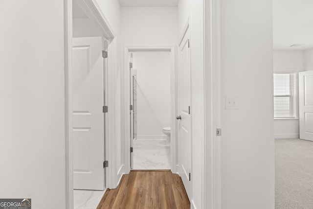 hallway featuring wood-type flooring