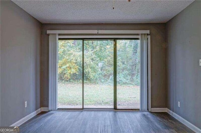 spacious closet featuring wood-type flooring