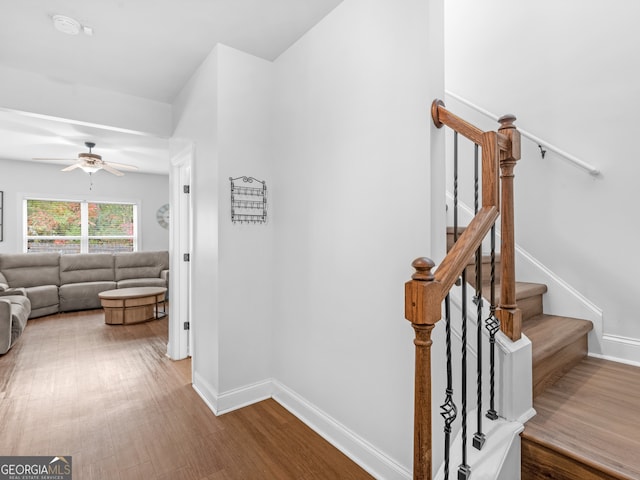 staircase with ceiling fan and hardwood / wood-style floors