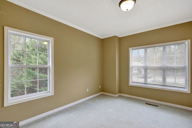 carpeted spare room with ornamental molding