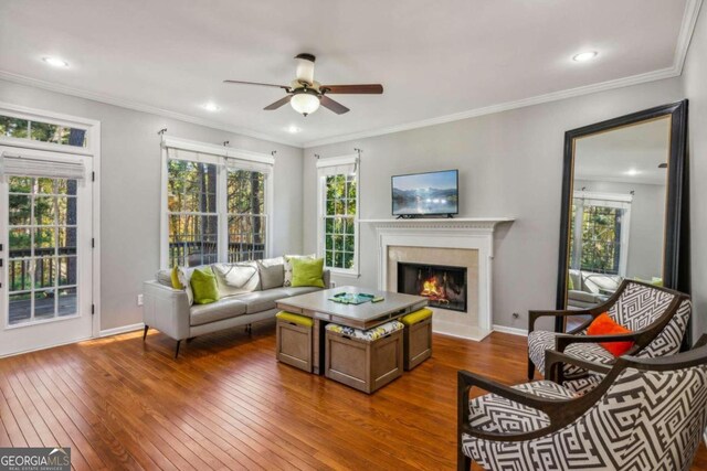 living room with ceiling fan, wood-type flooring, and crown molding