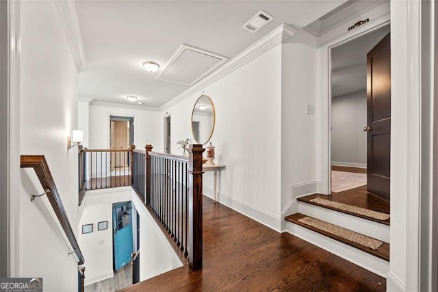 hallway featuring ornamental molding and dark wood-type flooring