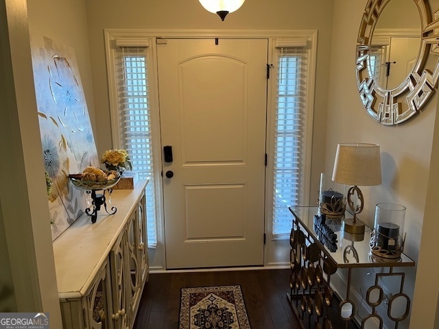 entryway with dark hardwood / wood-style floors