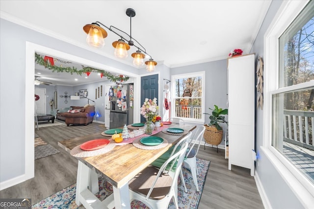 dining space with dark hardwood / wood-style flooring, crown molding, and a wealth of natural light